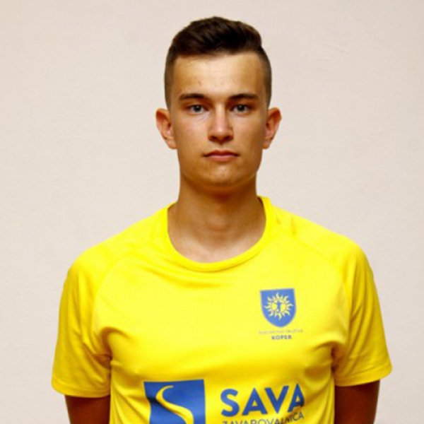 Aleš  Štavar
